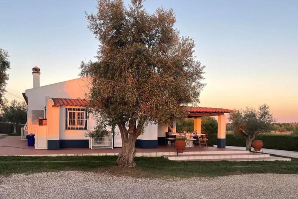 Casa Das Oliveiras Avis Exterior photo